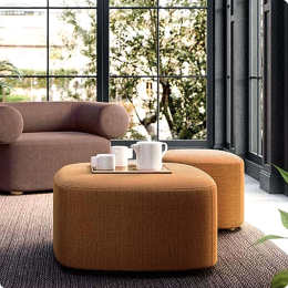 Sofa with tea table